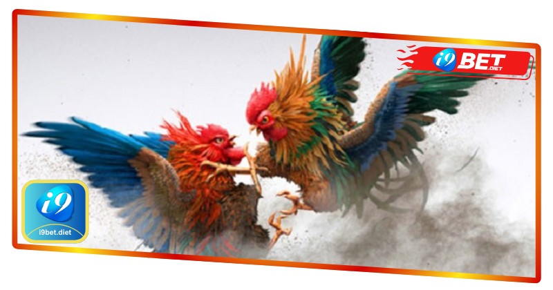 Ưu điểm sân chơi Đá gà i9bet mang đến